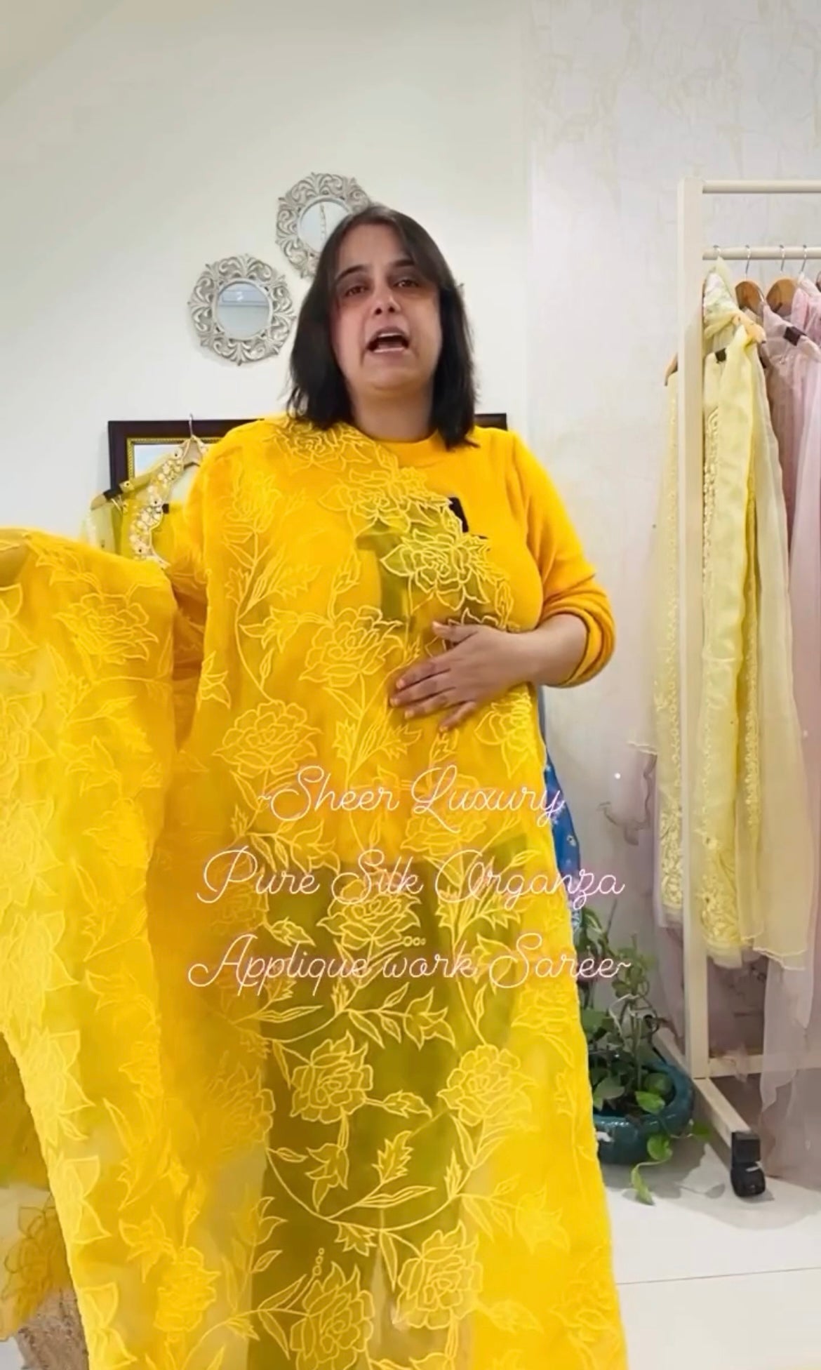 Sheer Luxury Saree S001