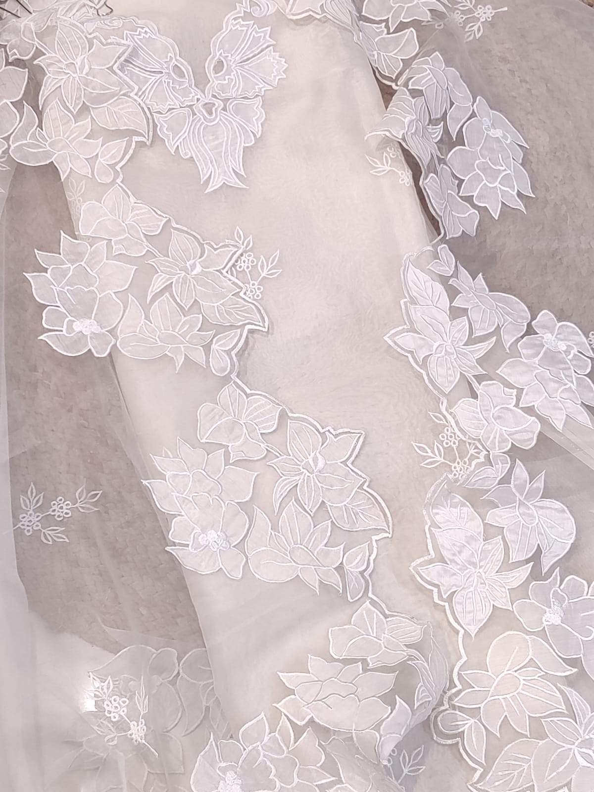 Sheer Luxury Pakistani Appliqué Suit PL007