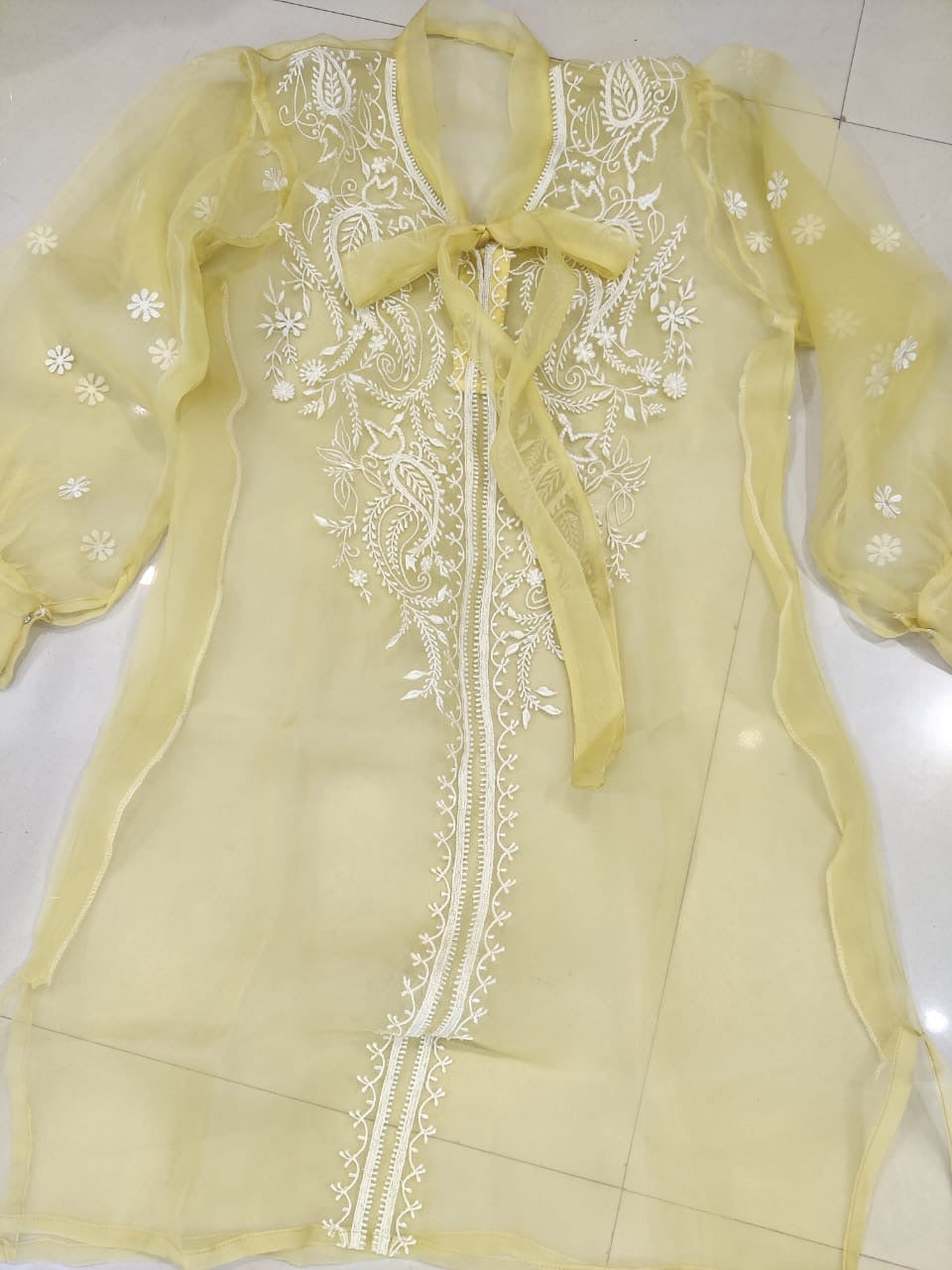Sheer Luxury Silk Organza Lucknowi Semi Stitched Top SLT002