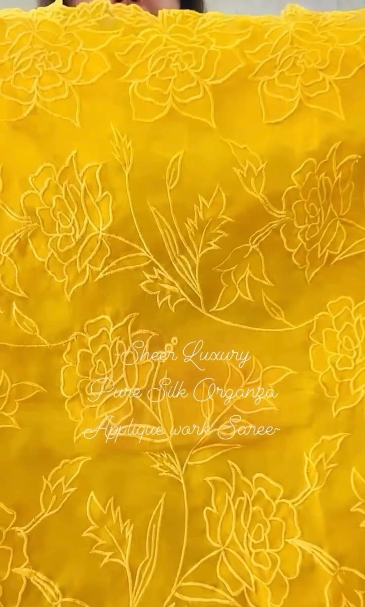 Sheer Luxury Saree S001