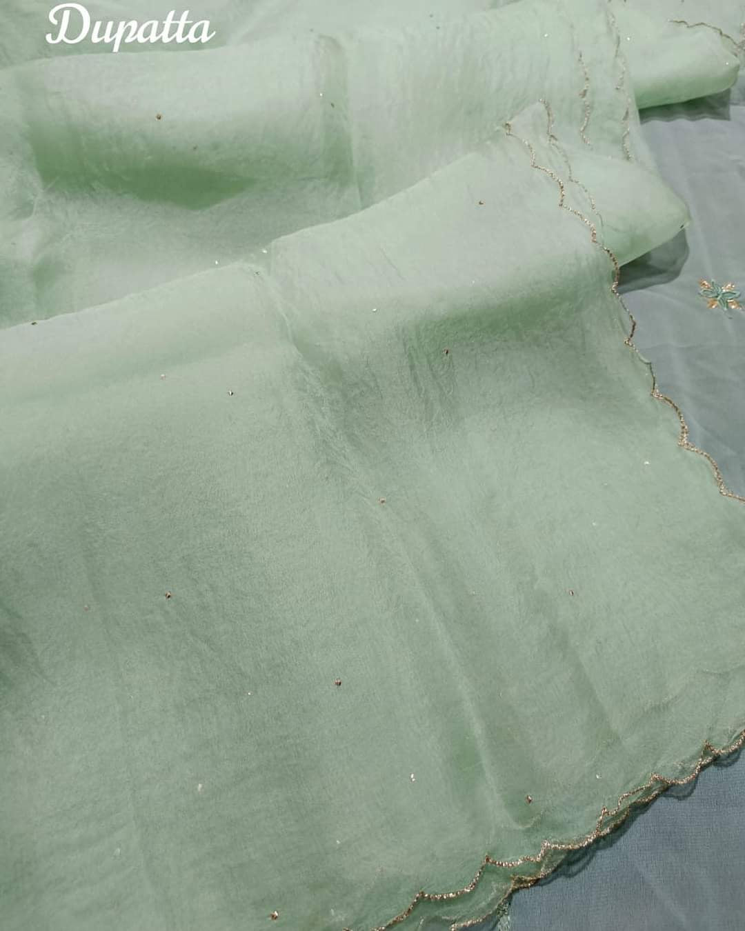 ATHARVA HERITAGE “NOOR” – Silk Organza Regalia Chikankari Elegance” Sheer00099