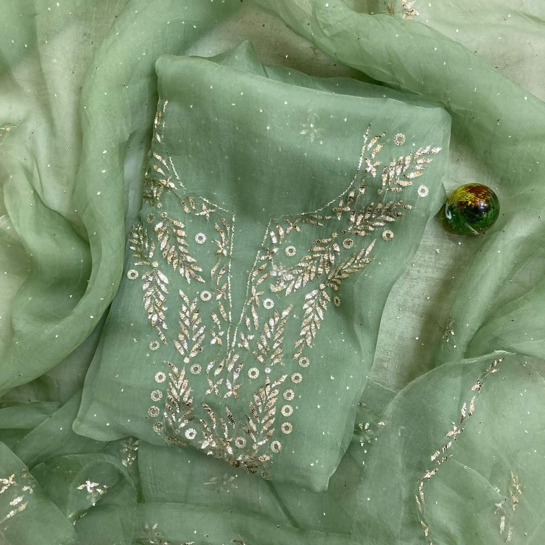 Sheer Luxury /Premium Lucknowi Collection Sheer00081 pista