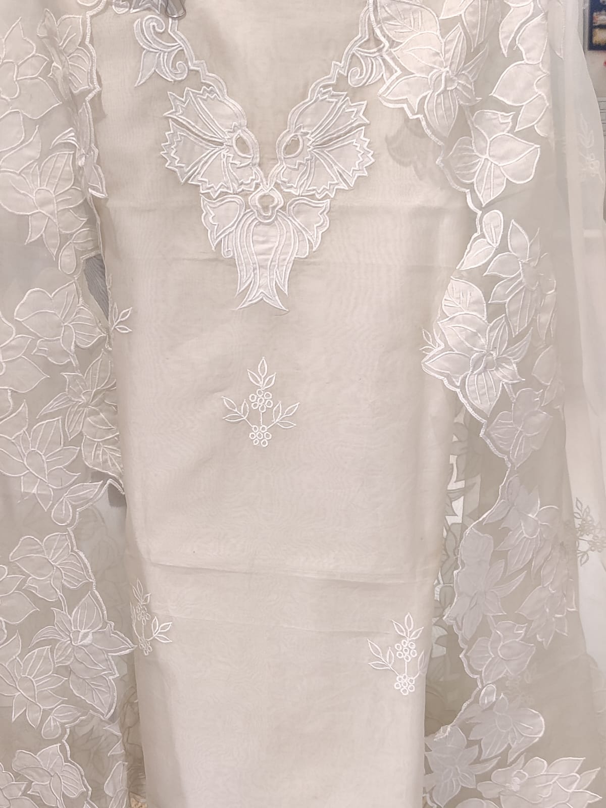 Sheer Luxury Pakistani Appliqué Suit PL007