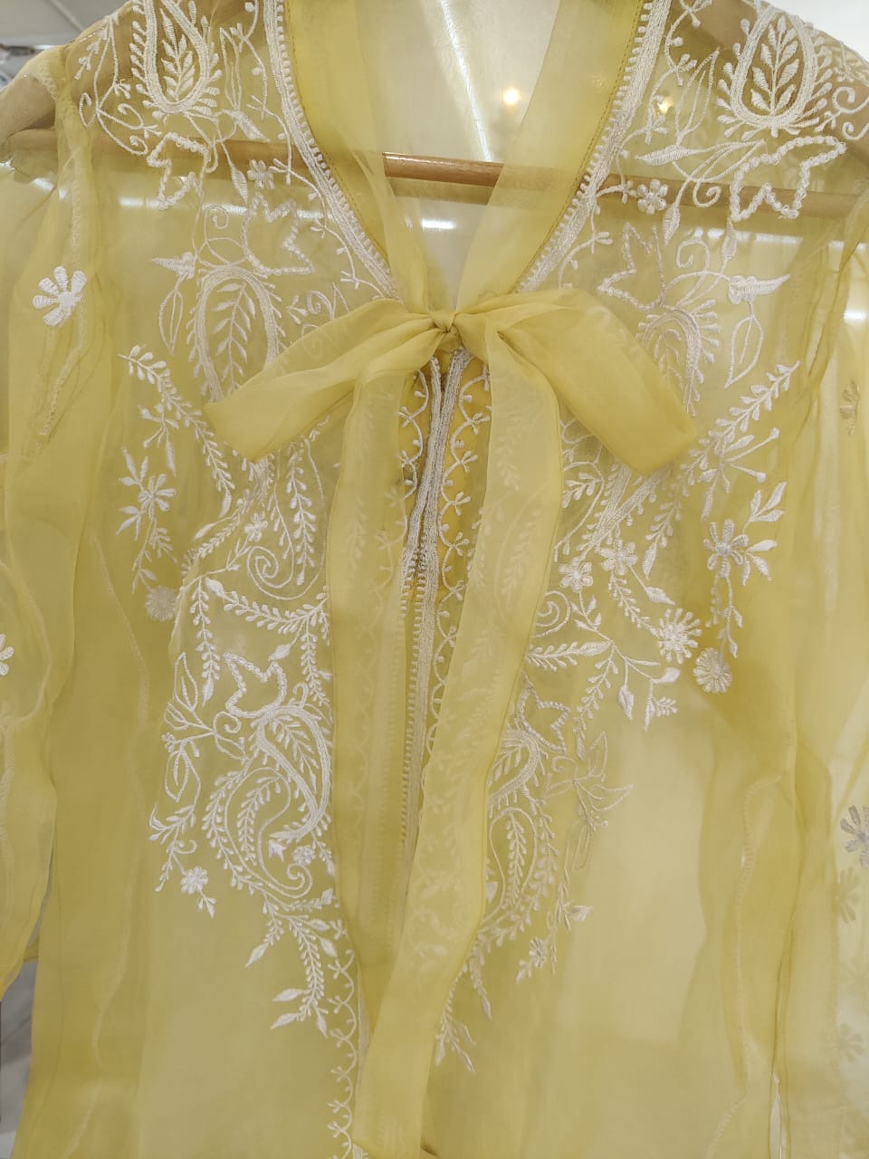 Sheer Luxury Silk Organza Lucknowi Semi Stitched Top SLT002
