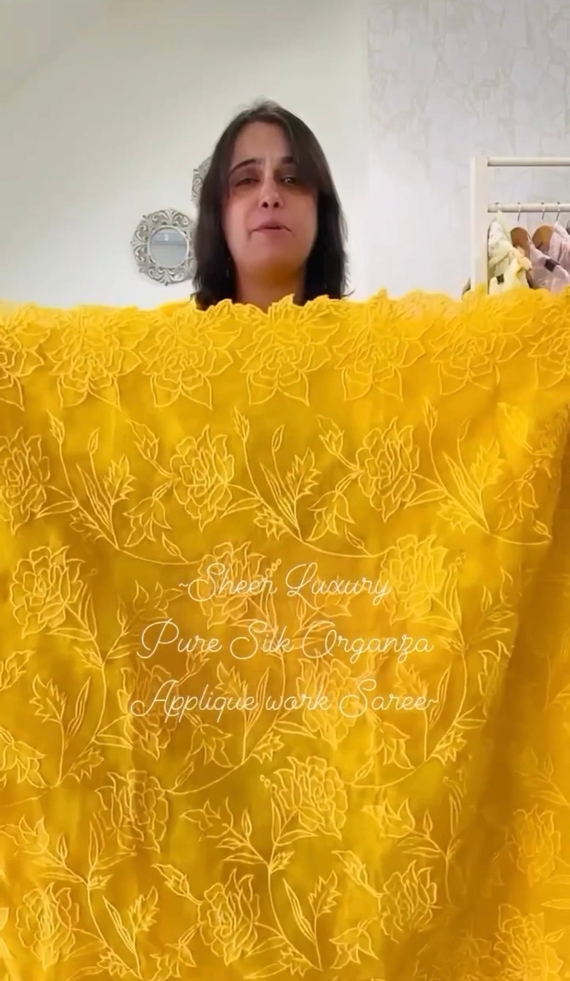 Sheer Luxury Saree S001