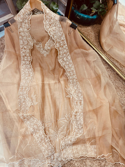 PURE MUL CHANDERI  AND Pure Silk ORGANZA EDITS CHO00156 Beige