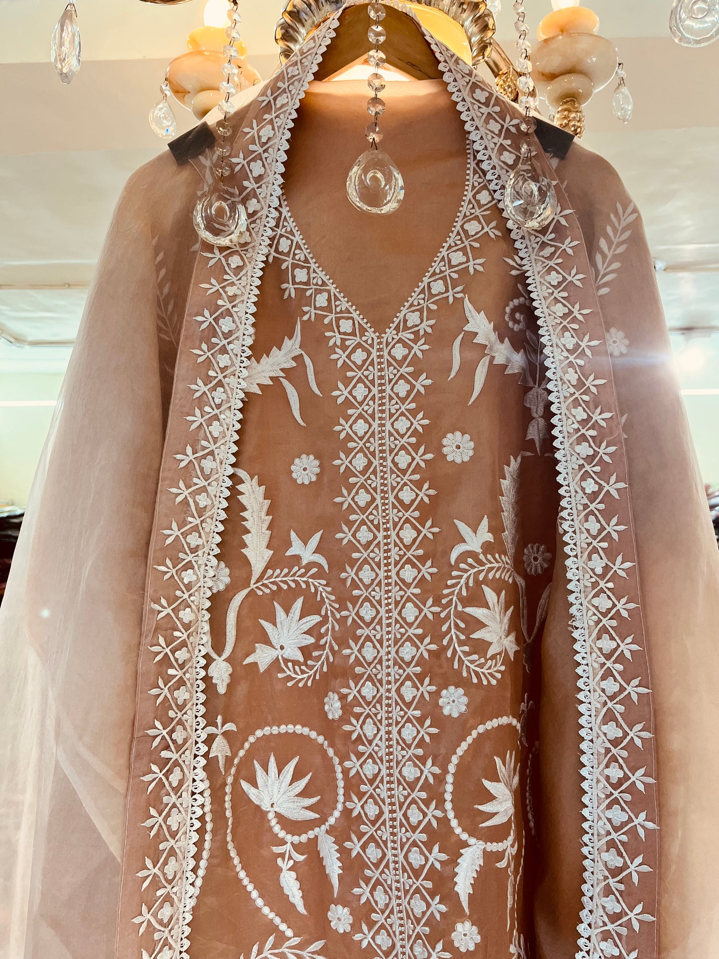 "Enchanting Elegance: Pure Silk Pakistani Suits Adorned with Exquisite Parsi Embroidery MS0051