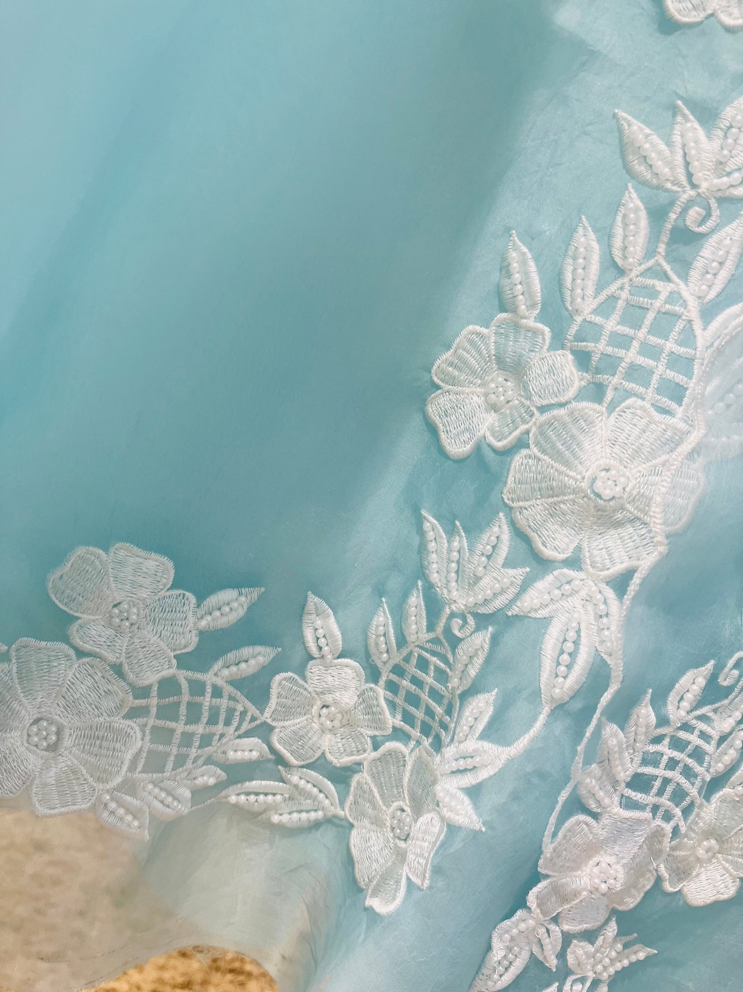 Atharva Heritage Pure Organza Silk Pakistani Suit with Pearl Parsi Embroidery AH181331176