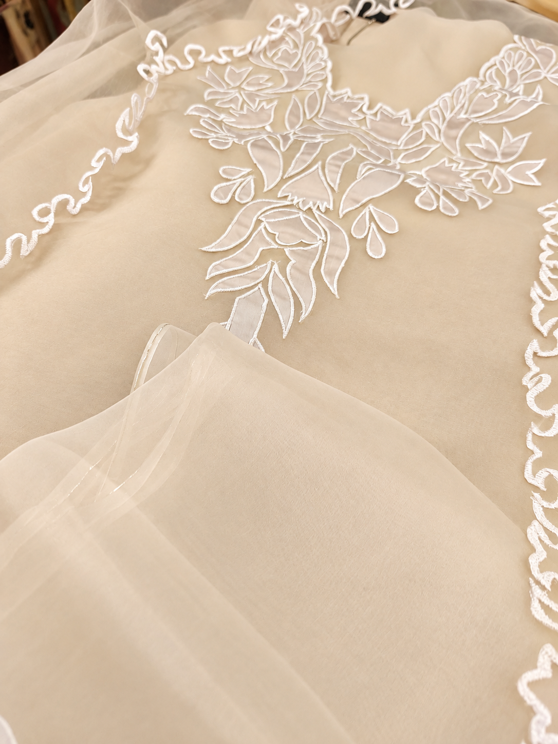 ATHARVA HERITAGE Sheer Luxury Ready to Wear Pakistani Appliqué Suit SLP0507