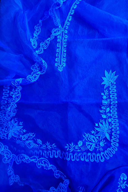 Atharva Heritage Silk Organza Hand-Appliqué Pakistani Co-Ord Set – Three-Piece Designer Ensemble  AH181331712