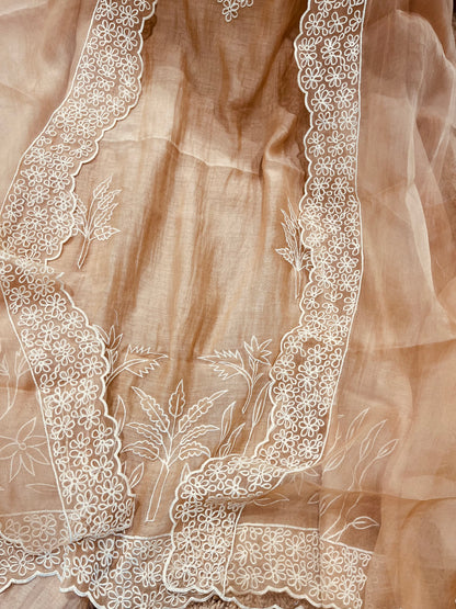 PURE MUL CHANDERI  AND Pure Silk ORGANZA EDITS CHO00156 Beige