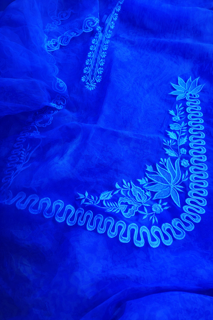 Atharva Heritage Silk Organza Hand-Appliqué Pakistani Co-Ord Set – Three-Piece Designer Ensemble  AH181331712