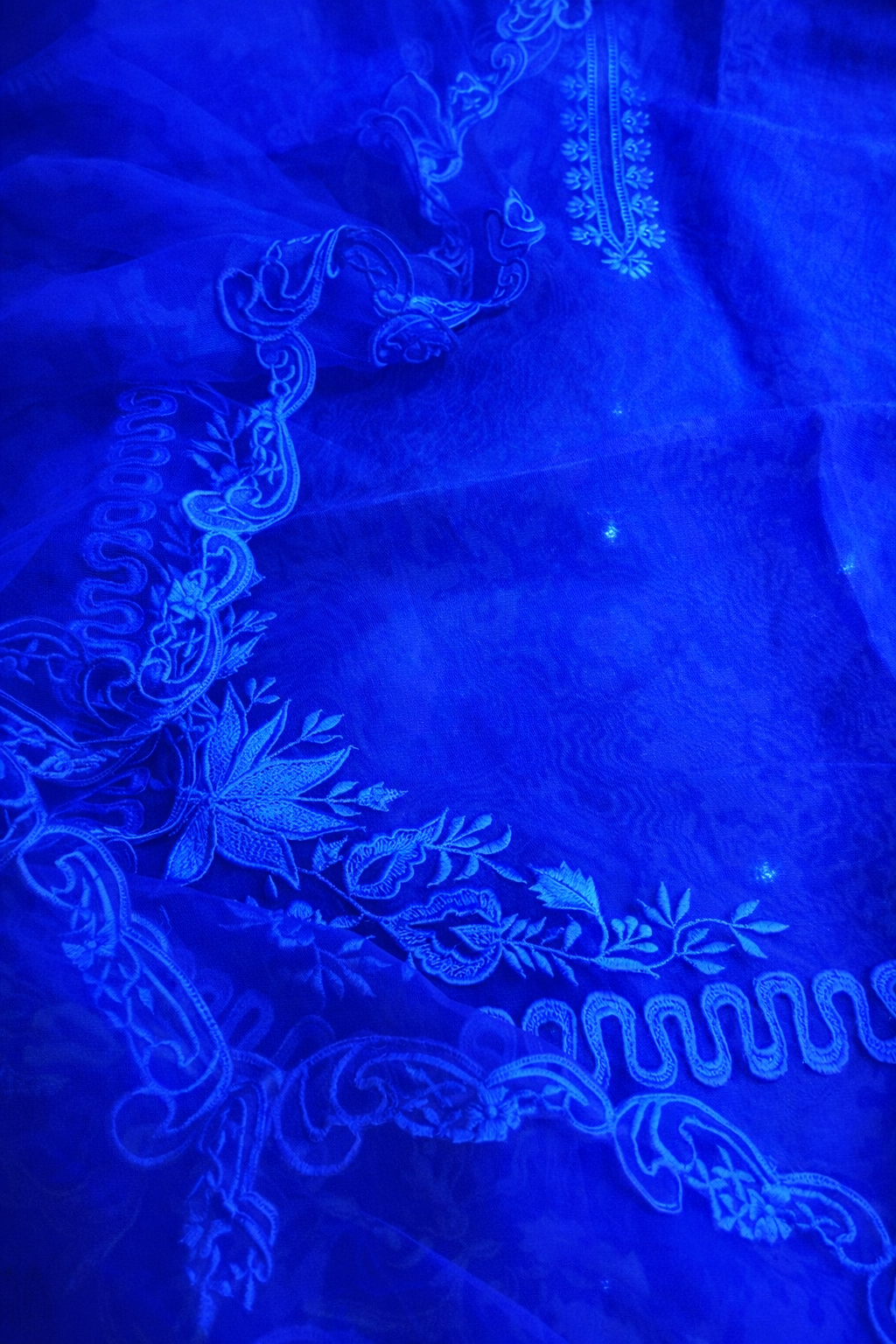 Atharva Heritage Silk Organza Hand-Appliqué Pakistani Co-Ord Set – Three-Piece Designer Ensemble  AH181331712