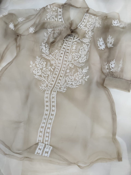 Atharva Heritage Sheer Luxury Silk Organza Lucknowi Semi Stitched Top SLT001I