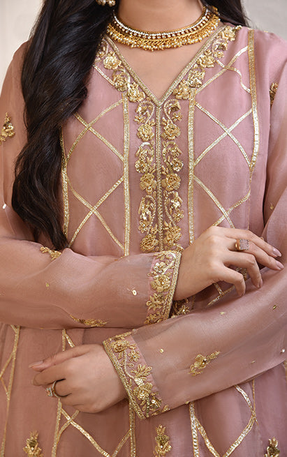 Atharva Heritage Pure Silk Organza Ombré   Anarkali OAA002