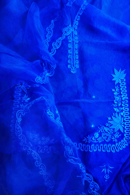 Atharva Heritage Silk Organza Hand-Appliqué Pakistani Co-Ord Set – Three-Piece Designer Ensemble  AH181331712