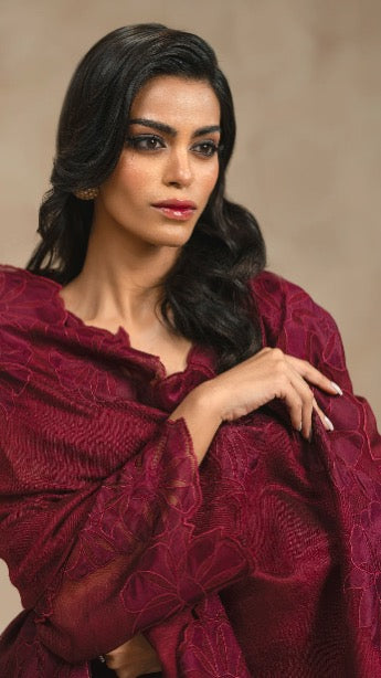 Atharva Heritage Monochrome Élan – Pure Satin Organza Hand-Appliqué Pakistani Suit