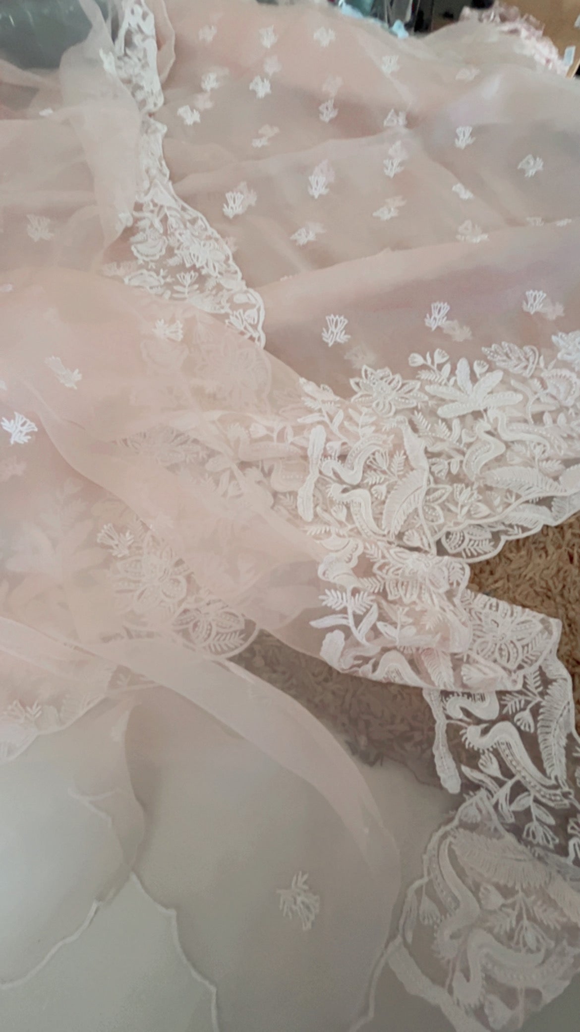 Atharva Heritage SHEER LUXURY Pure Silk Organza French Thread Embroidery with Pearl Hand Embroidered Highlight SUIT SOFTHP561