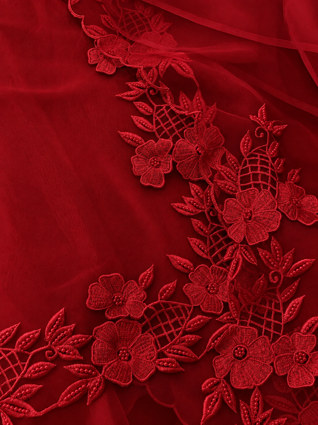 Atharva Heritage Pure Organza Silk Pakistani Suit with Pearl Parsi Embroidery Front Back n Sleeves  AH181331176