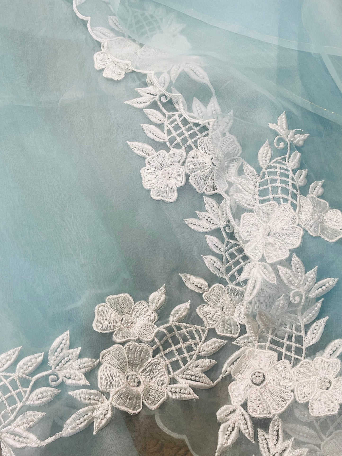 Atharva Heritage Pure Organza Silk Pakistani Suit with Pearl Parsi Embroidery AH181331176