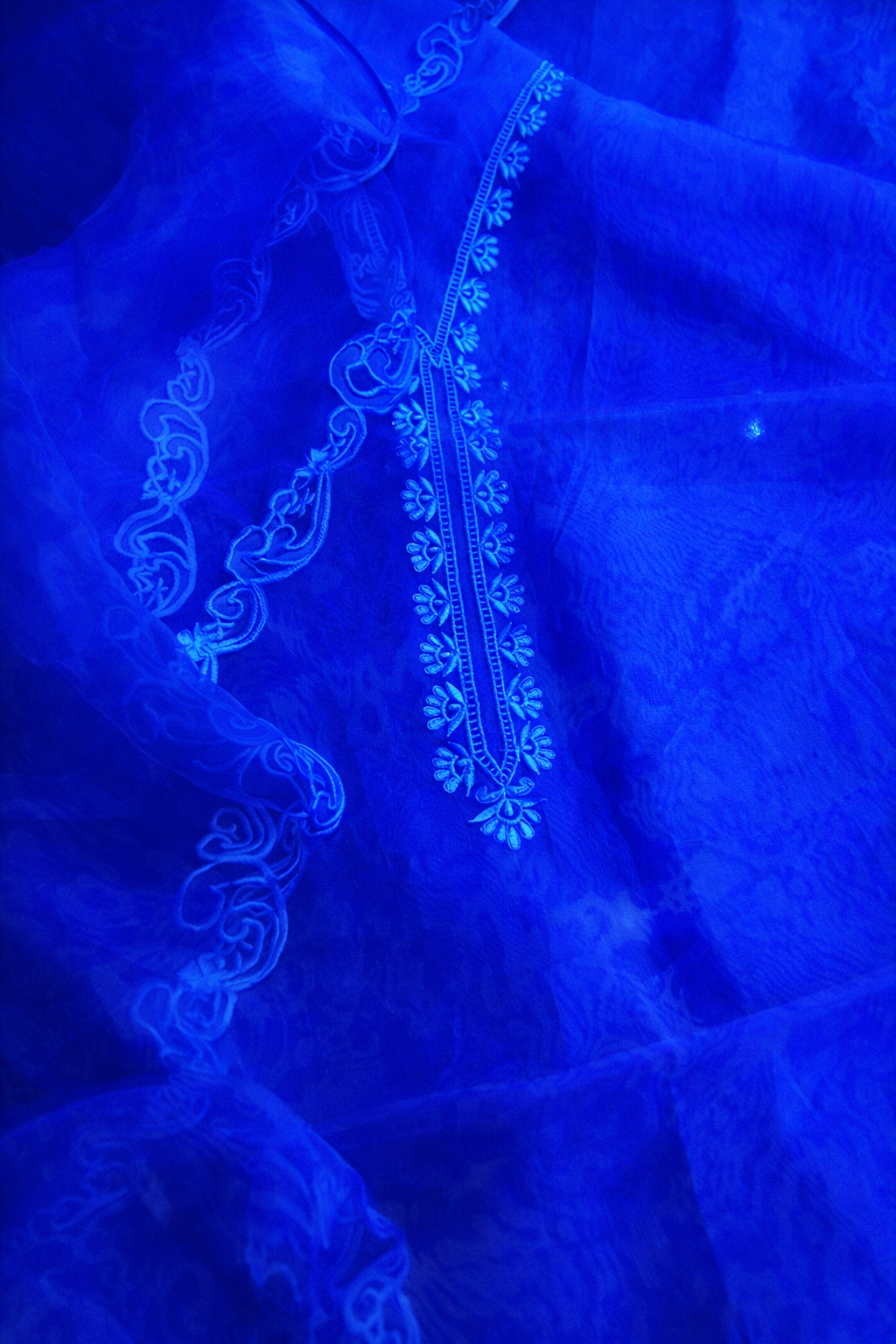 Atharva Heritage Silk Organza Hand-Appliqué Pakistani Co-Ord Set – Three-Piece Designer Ensemble  AH181331712