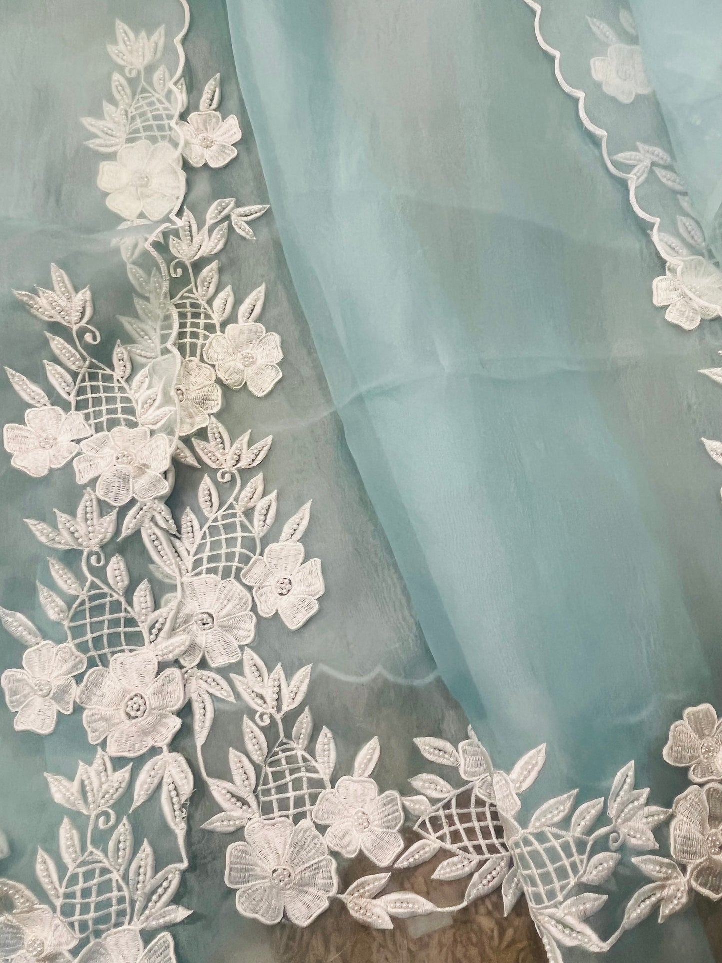 Atharva Heritage Pure Organza Silk Pakistani Suit with Pearl Parsi Embroidery AH181331176