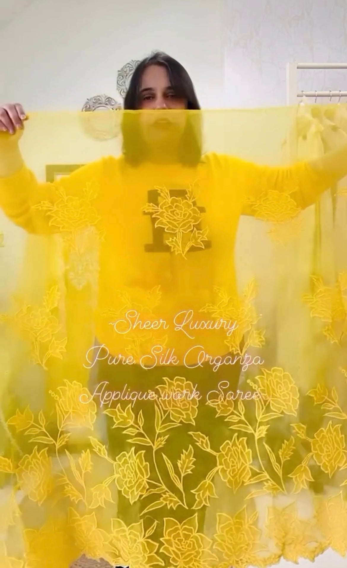 Sheer Luxury Saree S001
