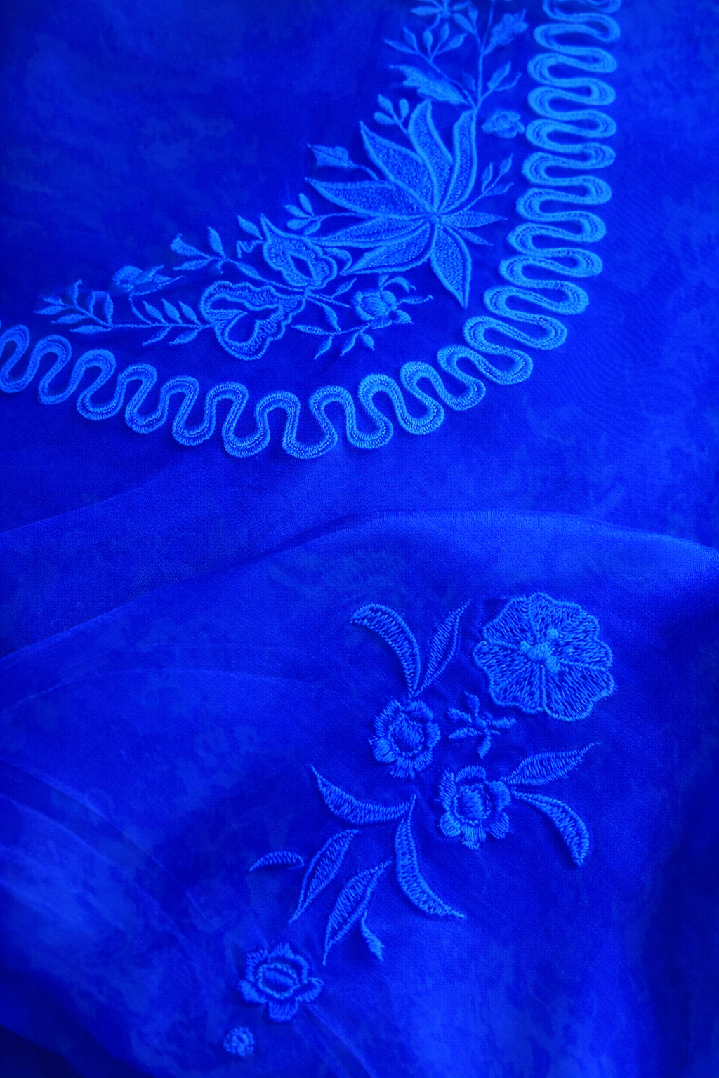 Atharva Heritage Silk Organza Hand-Appliqué Pakistani Co-Ord Set – Three-Piece Designer Ensemble  AH181331712