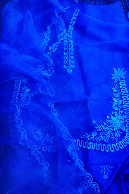 Atharva Heritage Silk Organza Hand-Appliqué Pakistani Co-Ord Set – Three-Piece Designer Ensemble  AH181331712