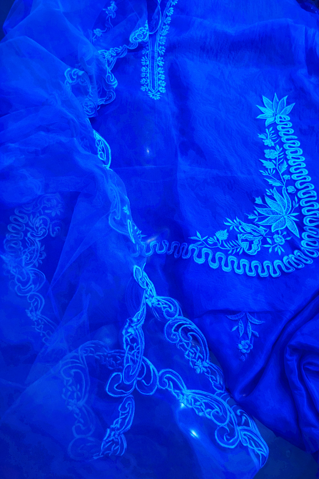 Atharva Heritage Silk Organza Hand-Appliqué Pakistani Co-Ord Set – Three-Piece Designer Ensemble  AH181331712