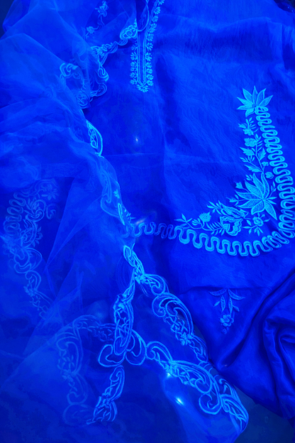 Atharva Heritage Silk Organza Hand-Appliqué Pakistani Co-Ord Set – Three-Piece Designer Ensemble  AH181331712