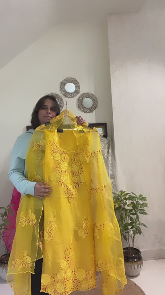 Atharva Heritage Pure Silk Organza French Thread Monochrome Embroidery SOFTM151