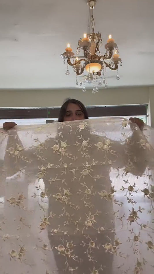 Atharva Heritage SHEER LUXURY Pure silk Organza  PARSI GARA SUIT SHEER0099