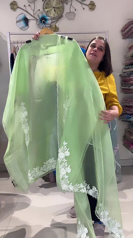 Atharva Heritage Pure Organza Silk Pakistani Suit with Pearl Parsi Embroidery Front Back n Sleeves  AH181331176